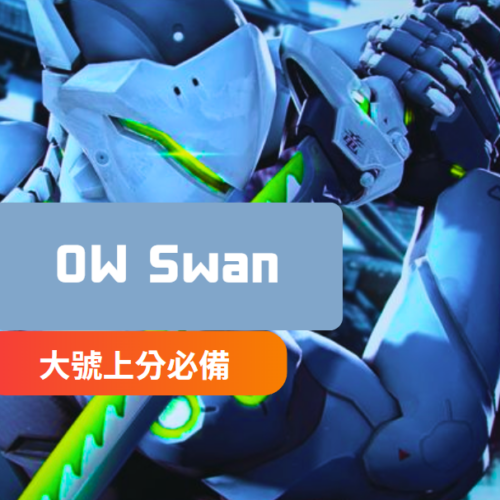 [穩定主推]鬥陣特工-Swan最穩外掛 | 本號專用 穩定上分 中文菜單 帶機器碼