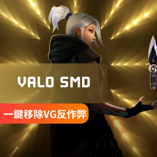 [無視封禁] Valorant特戰英豪-SMD移除檢測 | 關閉VG反作弊 無視檢測 無視機器碼 無須兩台電腦 無需重開遊戲 不踢102報錯